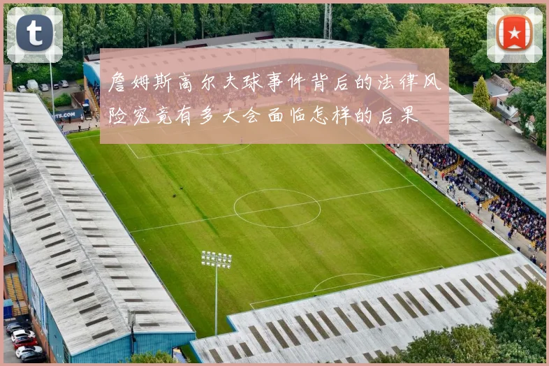詹姆斯高尔夫球事件背后的法律风险究竟有多大会面临怎样的后果